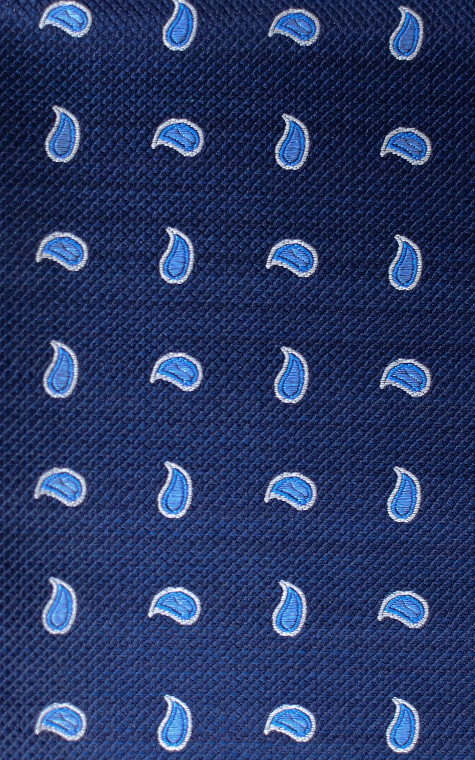Paisley Silk Tie - Navy / Blue
